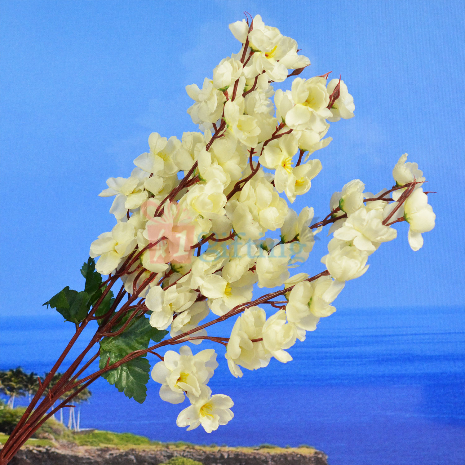 Beautiful White Flowered Decorative Plant