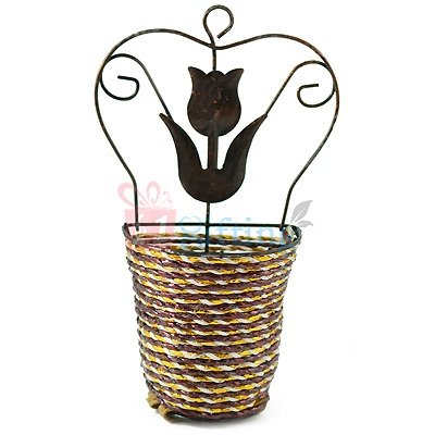Wall Hanging Wired Flower Pot
