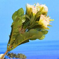 Awesome White Decorative Flower Plant