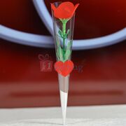 Beautiful Rose Bud Gift Wrap 