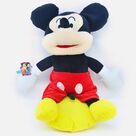 Magnificent Chhota Bheem Chutki Rakhi with Lovely Mickey Mouse Teddy Bear