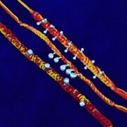 Mauli Thread Special Ghoongru Bhai Rakhis Set of 3