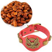 Harley Davidson Antique Bracelet and Rosted Badam Hamper