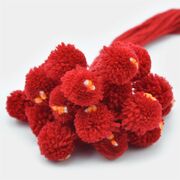 Traditional Red Ram Rakhi Set of 20