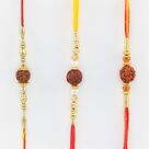 Auspicious Set of 3 Rudraksh Rakhi for Brother.