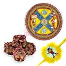 Kaju Rose Laddu with Pooja Thali and Kids Rakhi Hamper