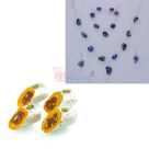 Blue Stone Jewellery Set with Kaju Raj Bahar