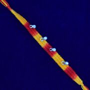 Pure Silver Ghungroo on Mauli Thread Sacred Silver Brother Rakhi