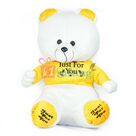 Stuffed Teddy Bear Just for You