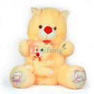 Big Stuffed Teddy Bear n Little Bowed Toy