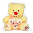 Creamy Stuffed You Soo Sweet Teddy Bear Toy