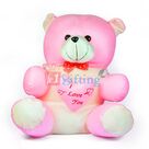 Big Heart Pinky Teddy Bear 