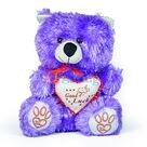 Blue Good Luck Bow Heart Soft Toy
