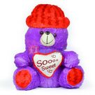 So Sweet Cap Heart Blue Stuffed Teddy Bear