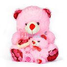 Cute Big and Little Teddy Bear Pinky Soft Toy
