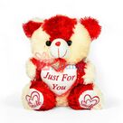 Pink Red Medium Teddy Bear Just for You