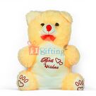Big Soft Teddy Bear with Bow n Heart