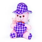 Little Bow Cap Blue Checked Teddy Bear Toy
