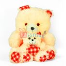 Creamy Soft Teddy Bear Toy n Lil Cute Kid Teddy